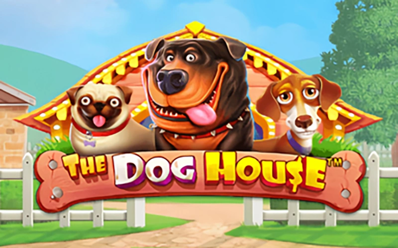 Play The Dog House game at LocoWin.